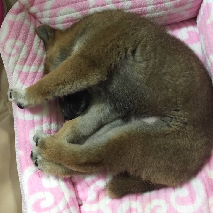 714ec892 1cd1 4975 8105 a09d229c528b