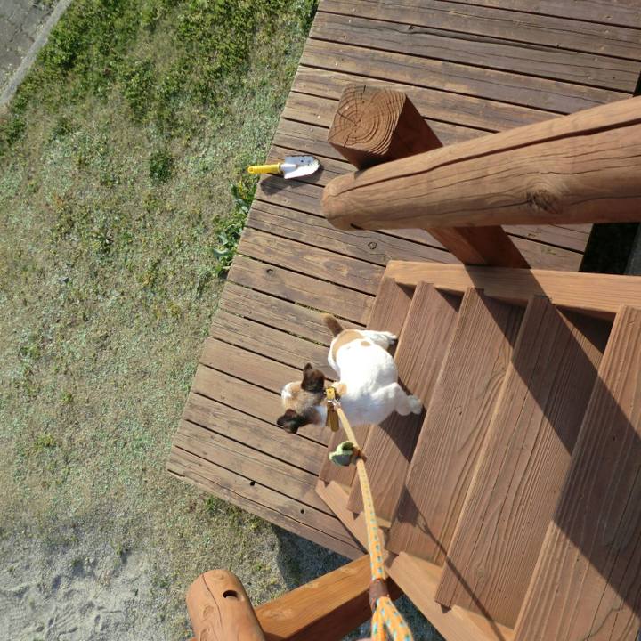 714f3335 7ee6 488c 9615 b83729dad1e3