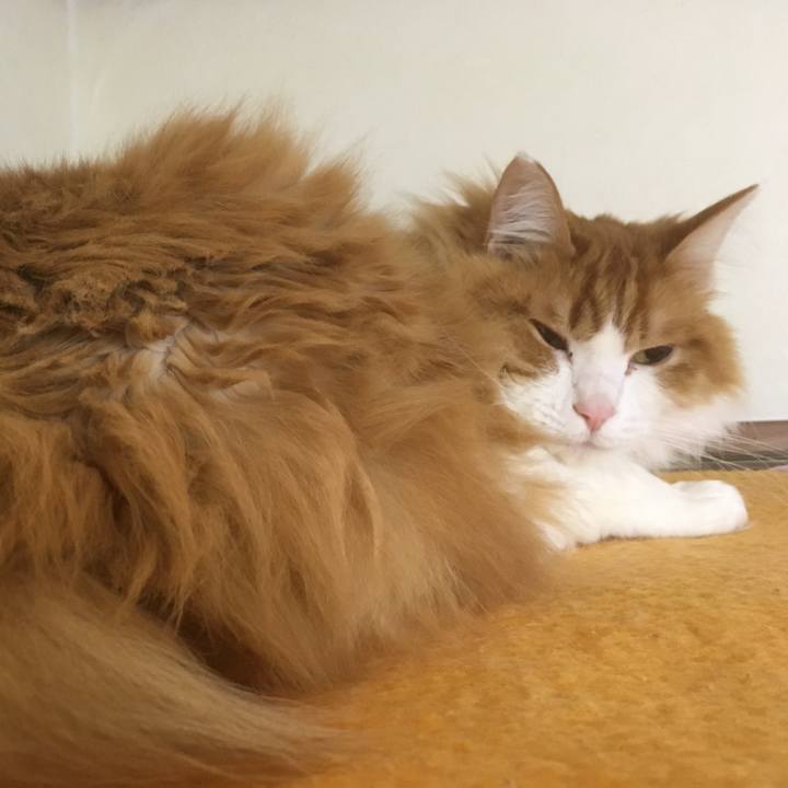 714ff799 7e57 49fb 9fe1 d6aef2395ae3