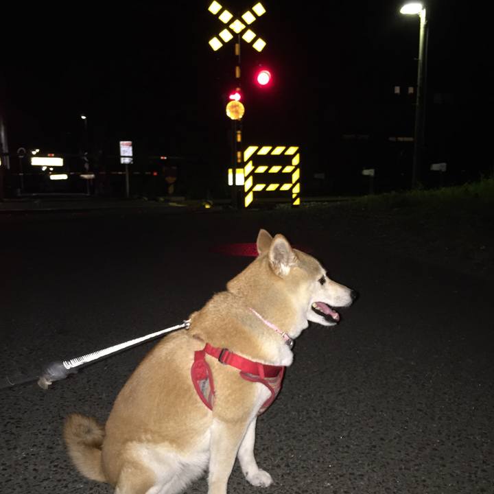 71509052 de88 4ff1 83ae c3387cfe70e3