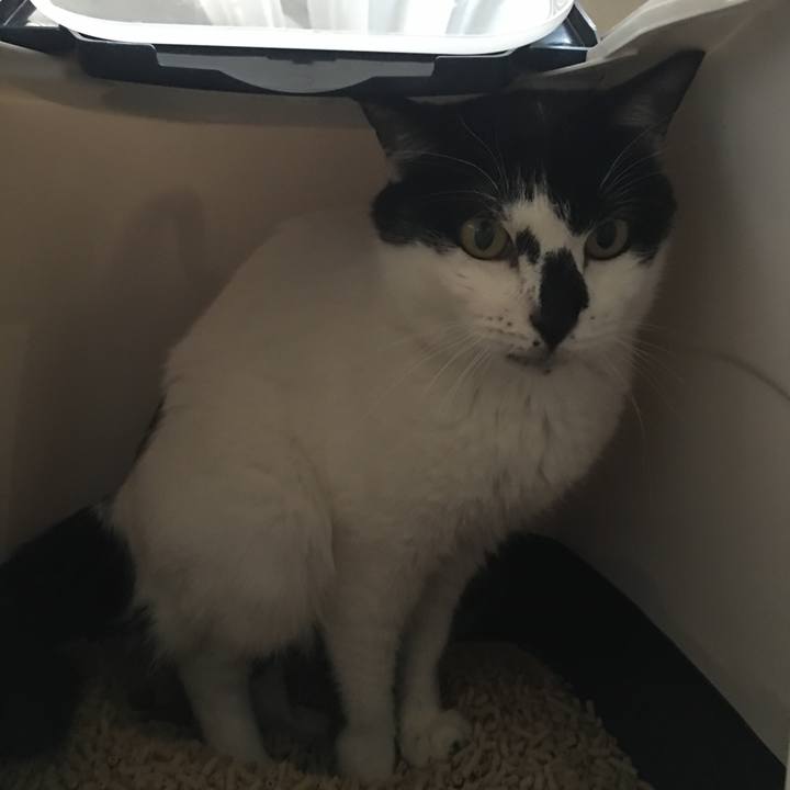 7150e2aa 72ca 468a 8d07 e0e2c2c80121