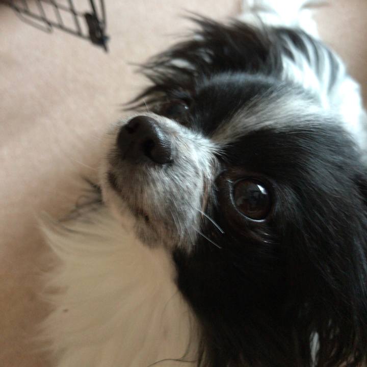 715109ba 2a10 4686 989e 81fa5dedd4ed