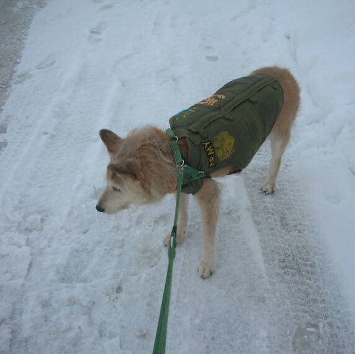 7151a049 9ee1 445e b877 de226e5e3cc3