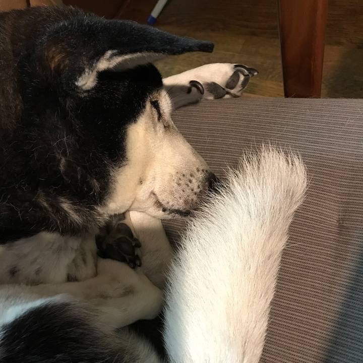 7151d6fd 1f1f 4a2c ab8d 11a3e75f2be7