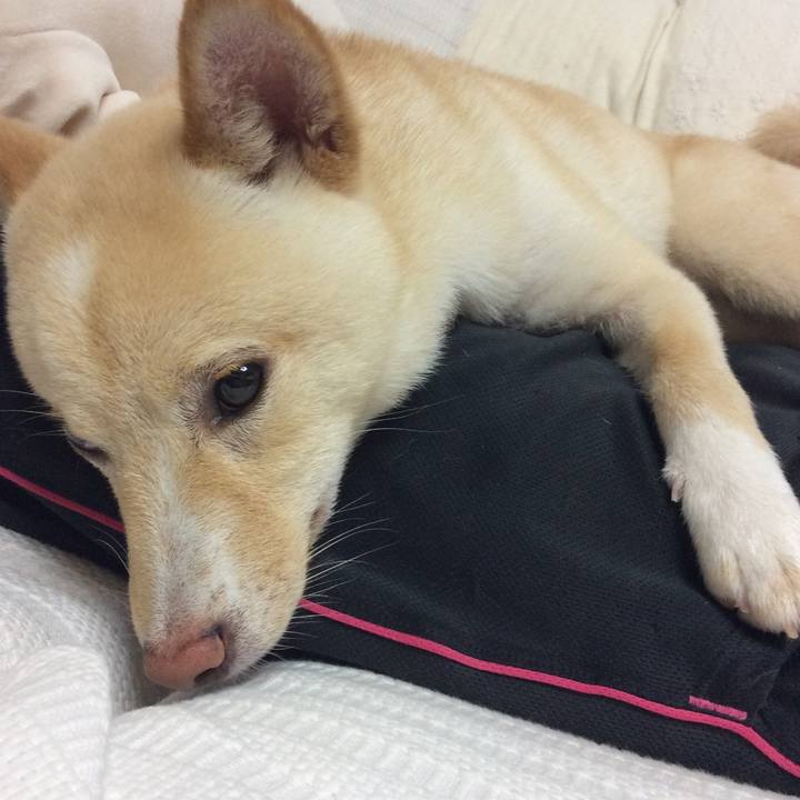 7151ff56 1ef3 422a 8e1b 61a35608c629