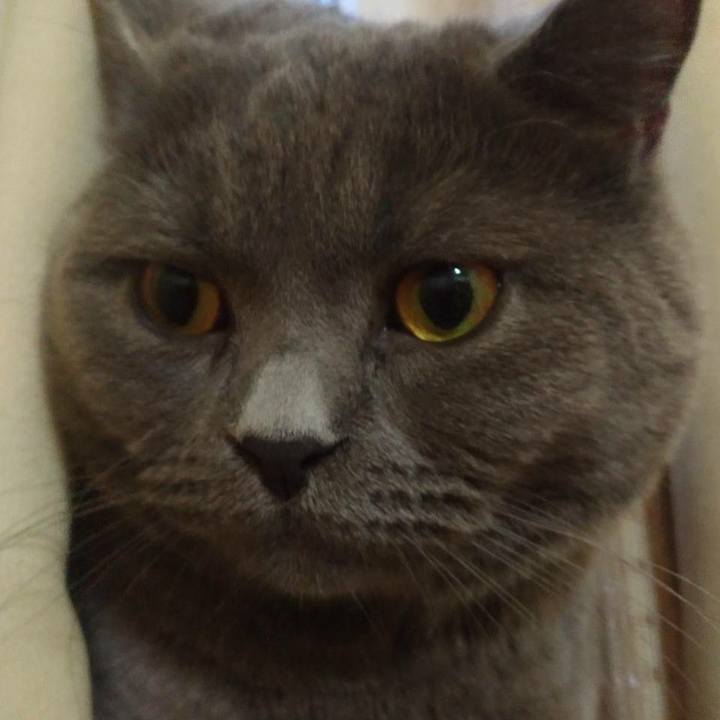 7152319b 6443 4658 b932 a4b1fe9f0f97