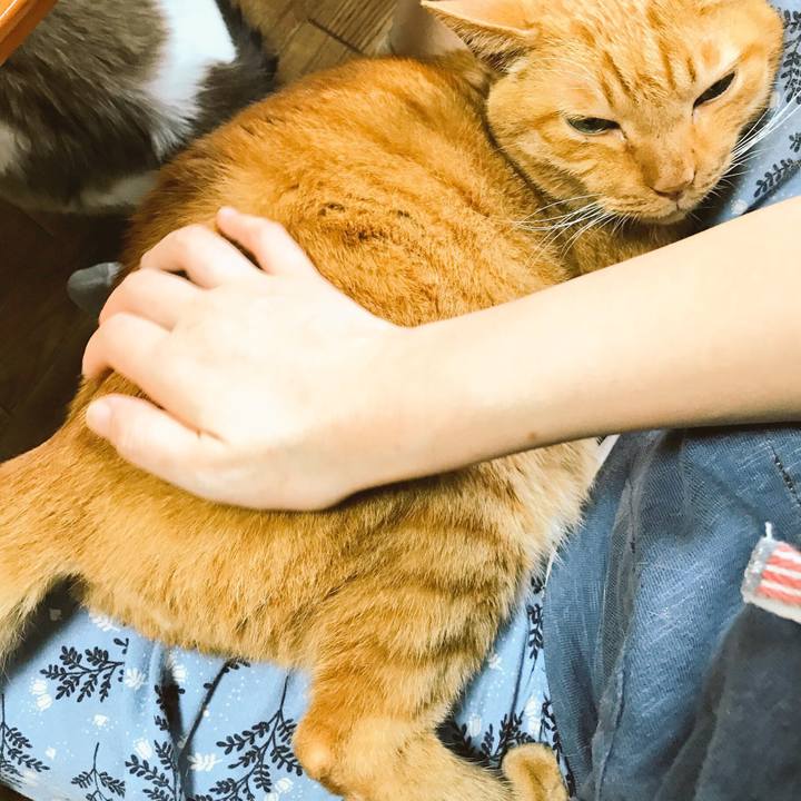 71524950 97f0 4405 a470 8e83f2db6d54