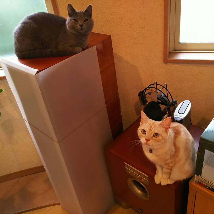 71527f8f 7a83 4a2f ab2e 4135de447d26