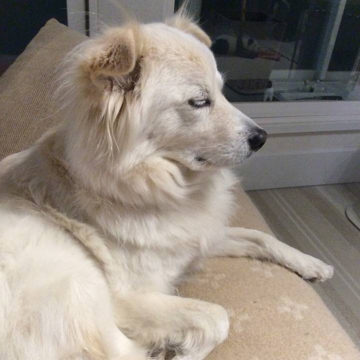 715282b4 6996 4bf4 9701 1f88c7fbbae8