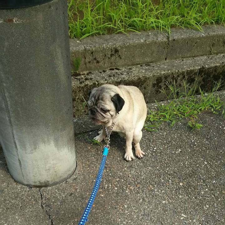 7152aeb0 3a15 4598 be10 f4c31b15649b