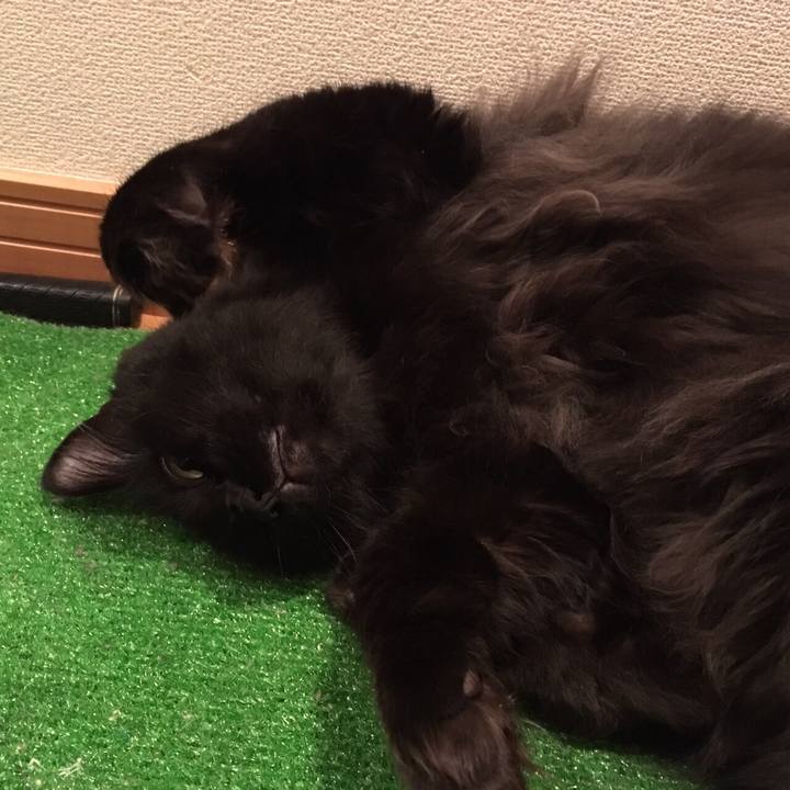 71531f48 65cc 4ff3 81b3 651cbf0eaa6f