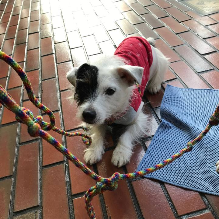 7153d754 0785 463a 8076 6087eae96be3