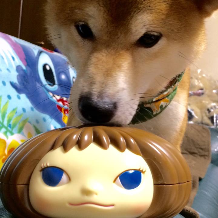 7153fe5f fe27 42ad 80e8 4b1942121258