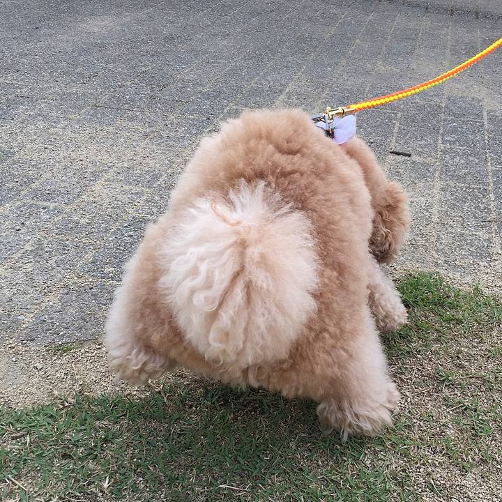 71543845 fef9 4206 976f 2c28786b724d