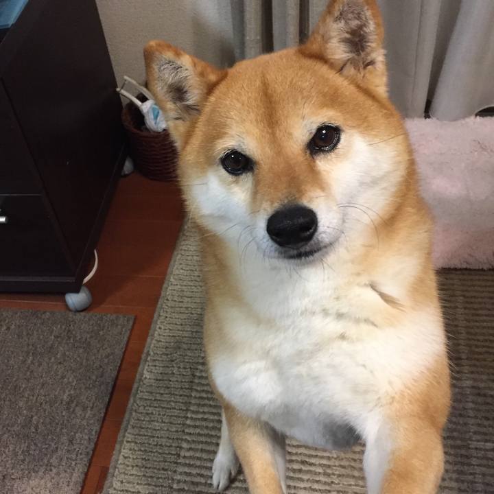 71544666 4d5b 40eb a890 974d7b28ff52