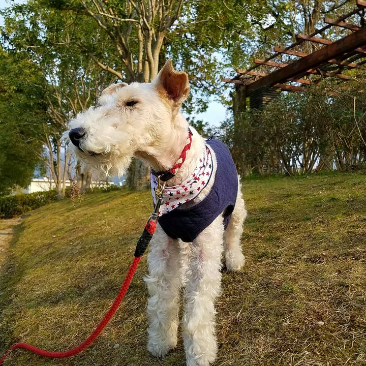 715476fa a504 4b6d a69b 2e5a01c6cb33