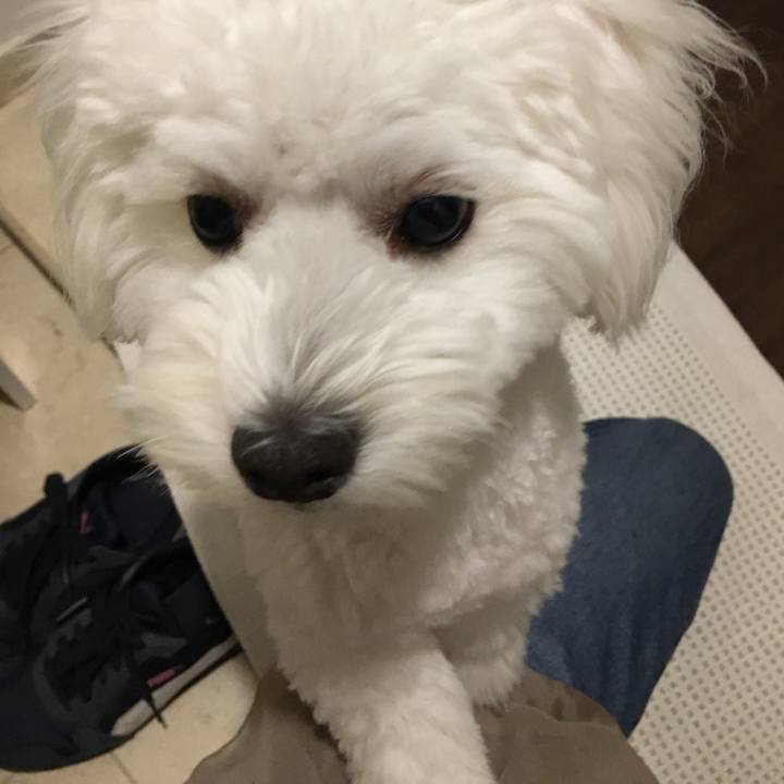 7154b030 52e3 4970 87d1 f915d2aa9bbf