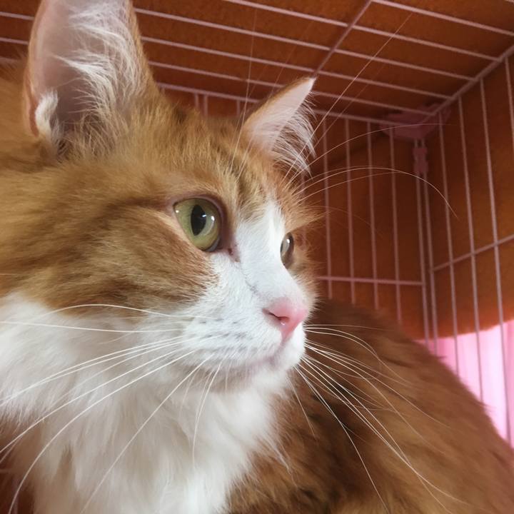 7154be99 8b4d 4a25 bd00 1ba50aca521e