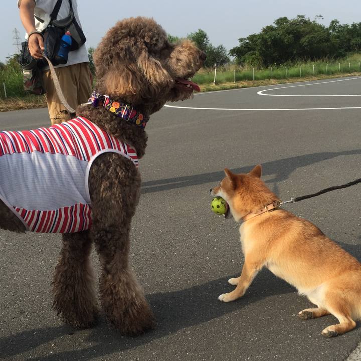 71557290 5b58 490d a7ff 64d768af0de4