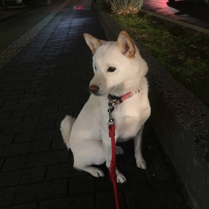 71559ed5 2d29 4e00 9a83 6e985edcc2b4