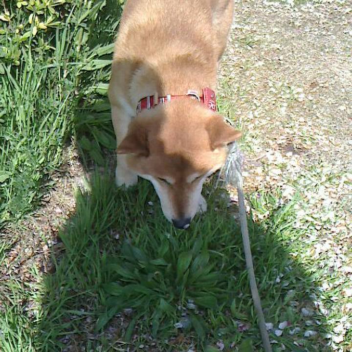 71565036 9e61 428e 9132 3d9b490a5673