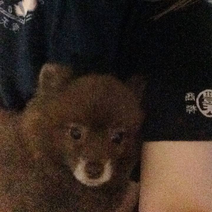 71565831 0bed 4cbf a1a0 0b70d0a80db0