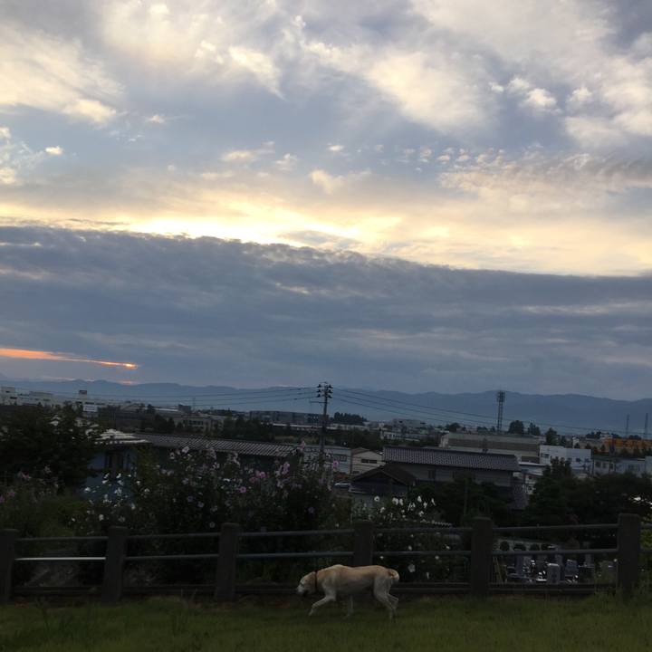 71567a52 b598 4c78 8e5f e5c958e38133