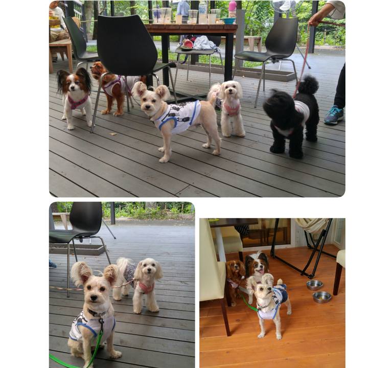 71570717 34ef 42fe b1f8 c8b34423cc98