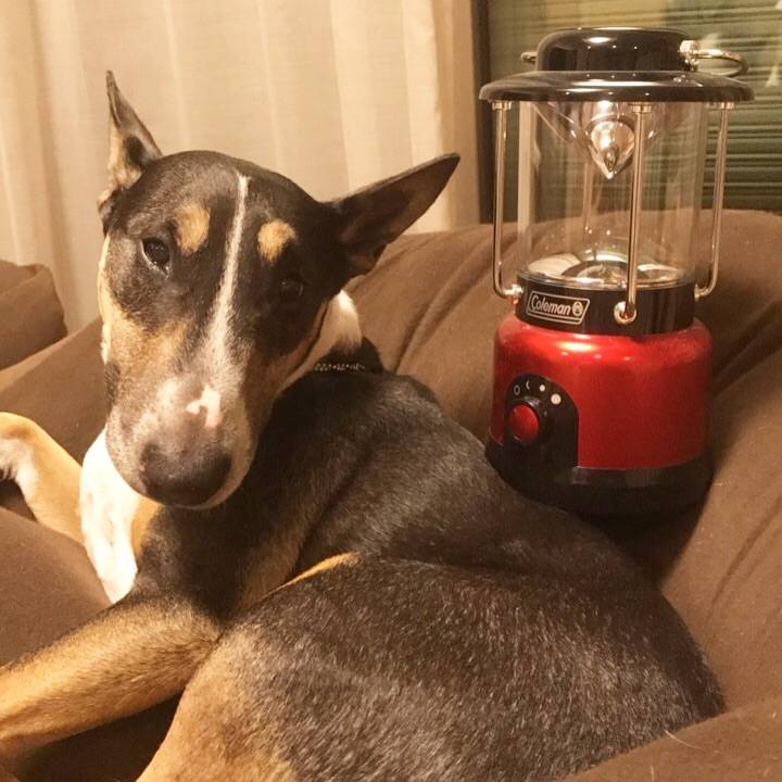 71576c7b eed5 497b a4a8 fd4c02f656fe