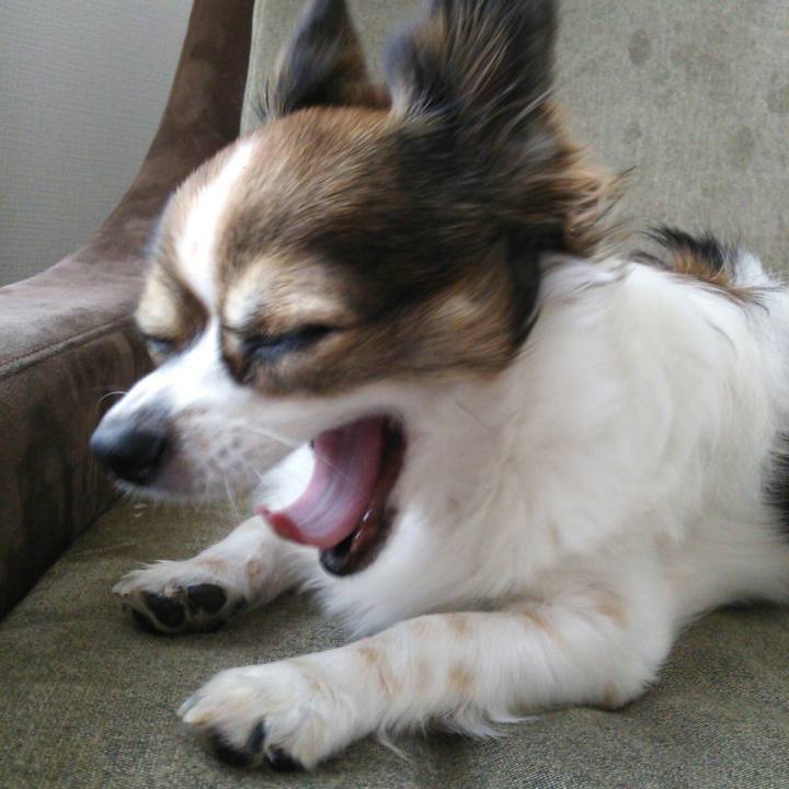 7157ee50 cf94 4f3a b57a cd82675a35bd