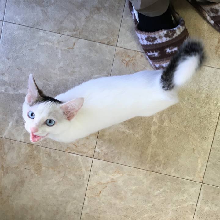 71581b2f 98fd 4dc0 8e56 0b69fcc8813b