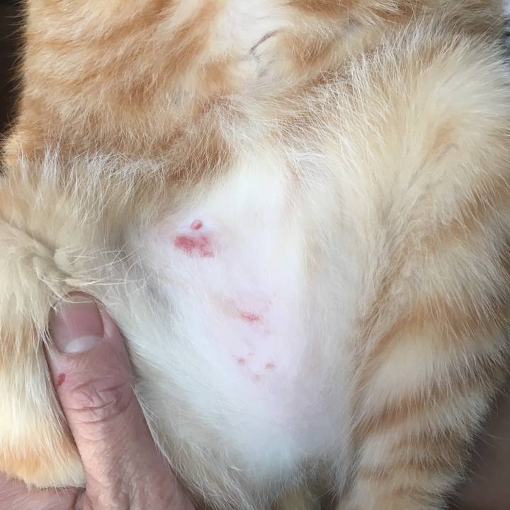 715849bb 7c83 4164 bb4b 01ec360d1675