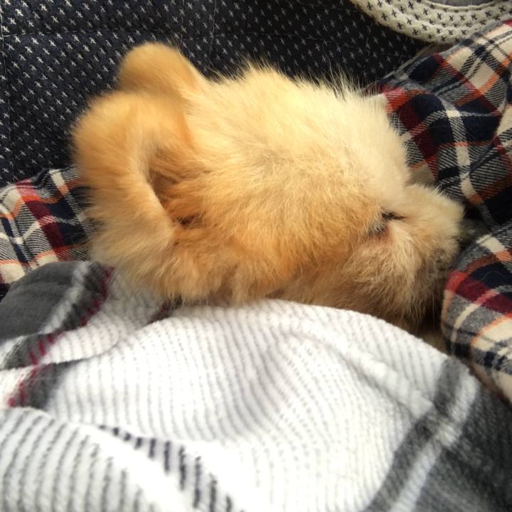 7158c89f e6fc 4291 afce 5f299d29201f