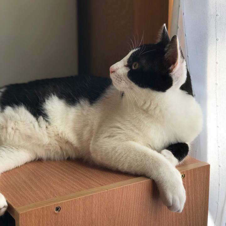 715a3c44 544c 4e23 b864 c5117ab49e22