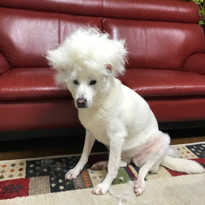 715aa0a1 375e 4b7d a4fc 1f4aad15a98d