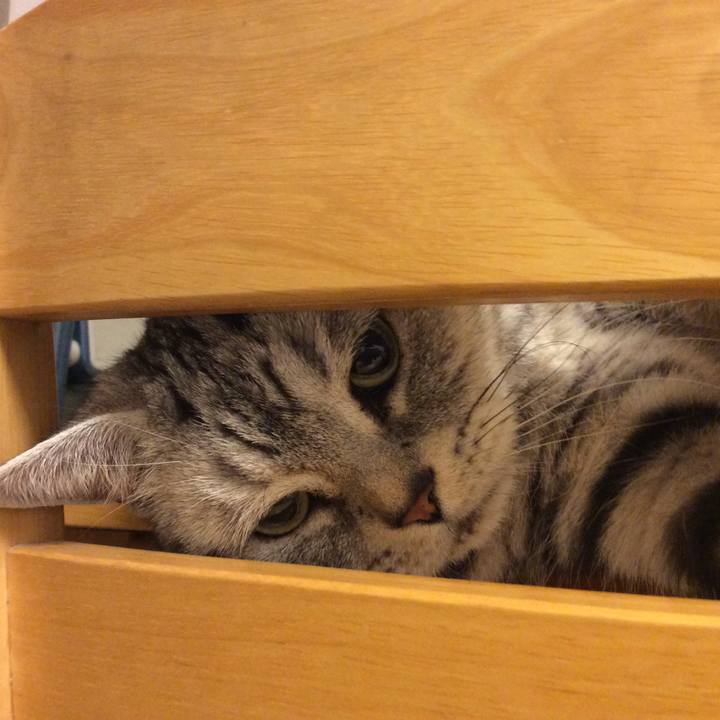 715aad9e fd75 4e45 9681 3d775735e543