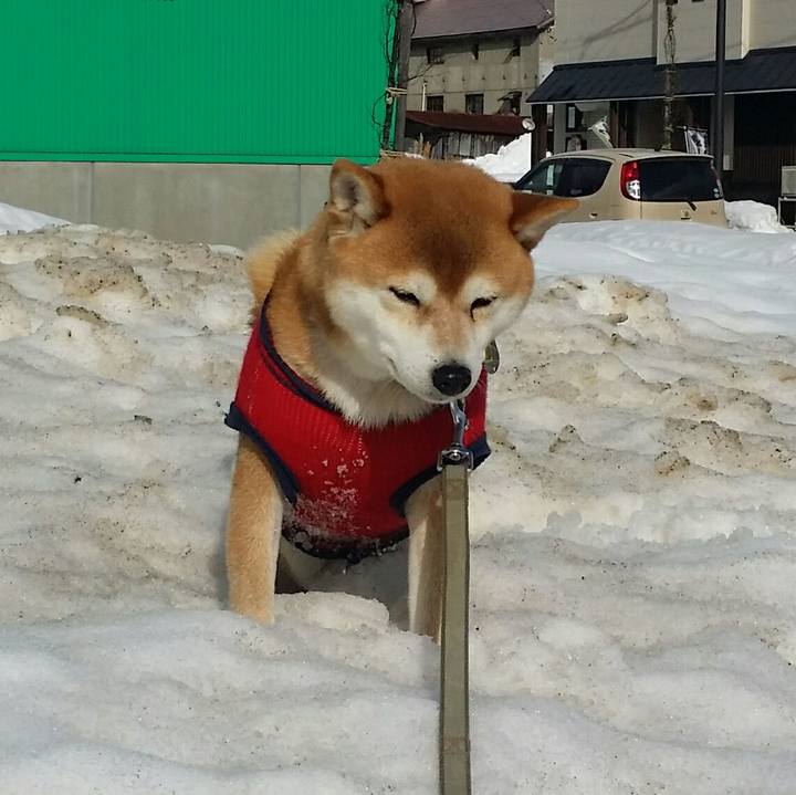 715b172b f9e6 4896 87c1 f6f656a8933d