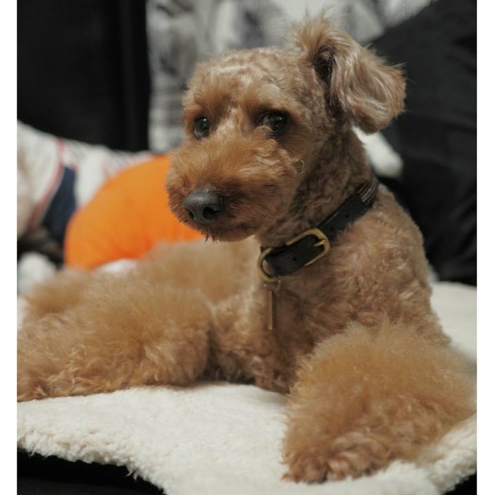 715d0a1b 2eeb 4716 8cf5 5d405140d1f7