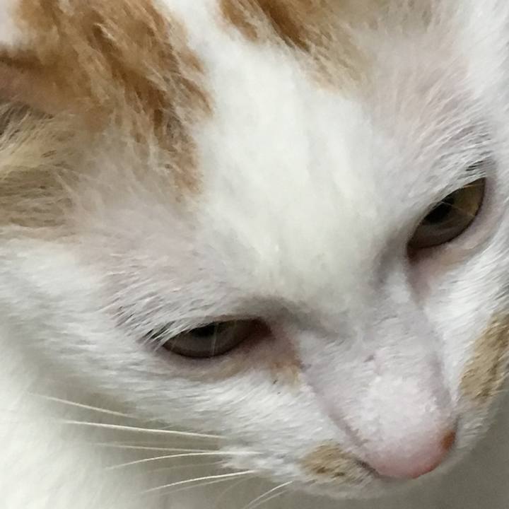 715d1834 6a5b 433e 8170 414c70e01165