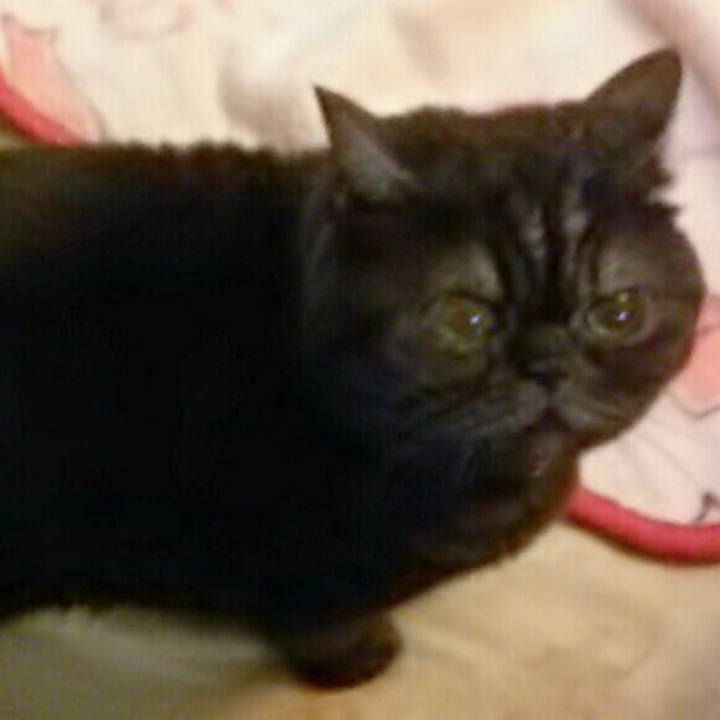 715db8b3 9e5d 41c7 b7fa e14ba121788e