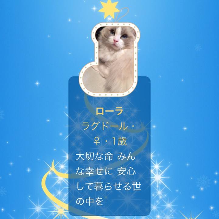 715dca20 d8f3 4eb4 b708 97add2a2034a