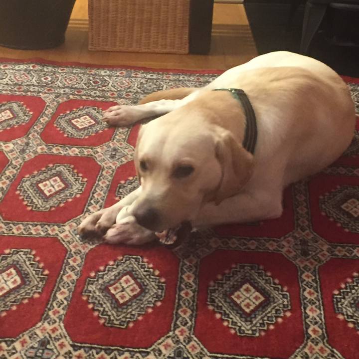 715dd257 c406 47fb a478 01eae37161e1