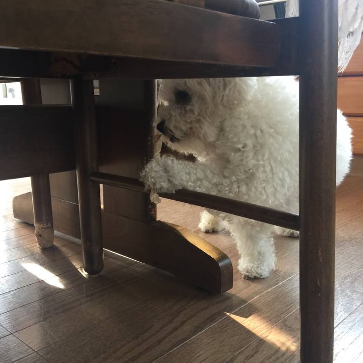 715de725 3dd8 4877 9803 0307b5248c08