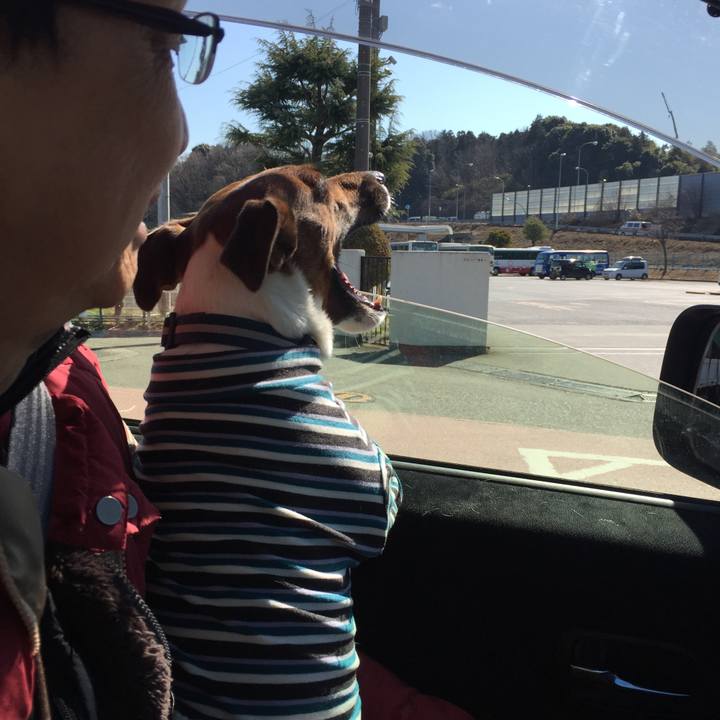 715e5ad3 4c12 4ac9 bbee ad7bae09ab1e