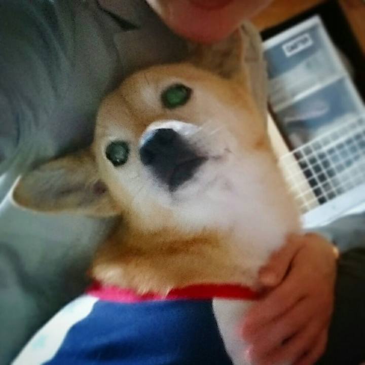 715e816f 77c3 45f1 b1ea 5f6e7245bf98