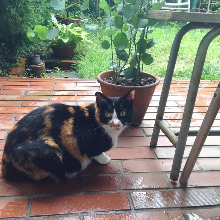 715f280e b36a 4002 9c9a 1bc38de05798