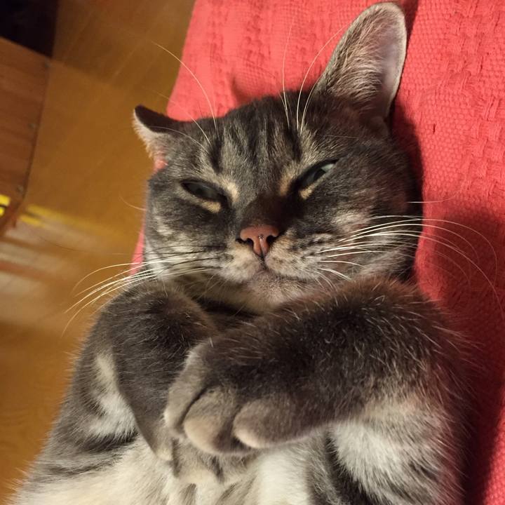 715f7f42 0f8e 4865 a27f d3ae975e3a57