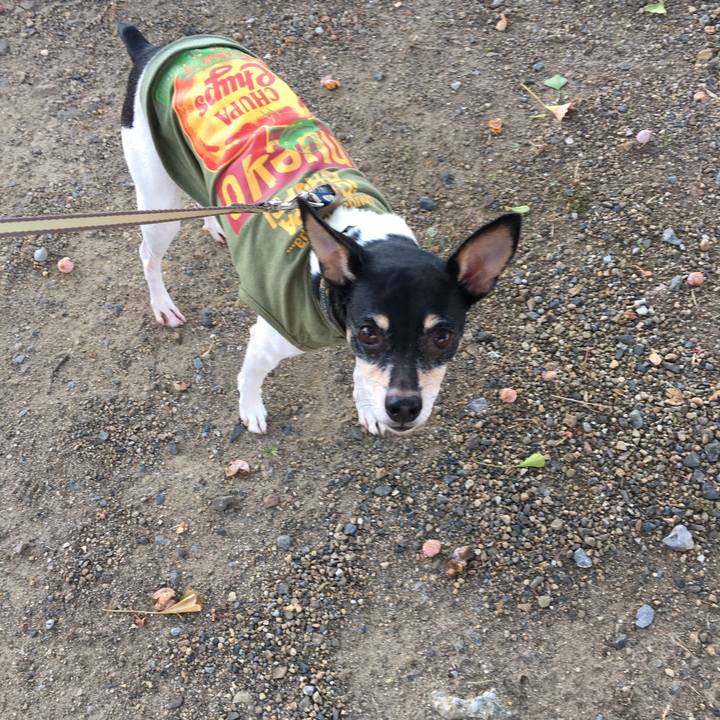 715ff47f a225 41db a4a6 3b1a3ea021c3