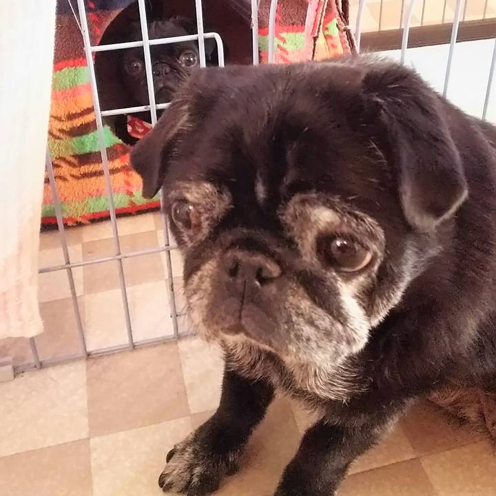 71604e06 f87f 4bfe 8724 b9609e7b08c4