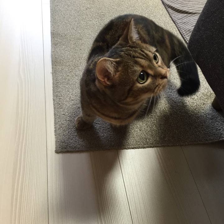 716080d1 52a0 41fe a538 76d96a7617f8